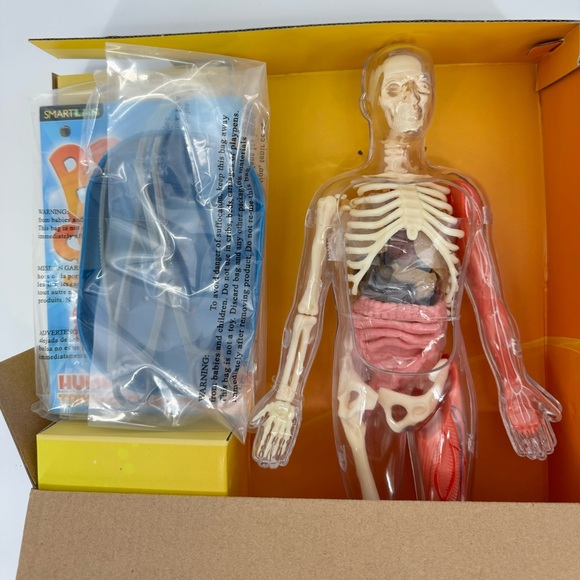 Smartlab Squishy Human Body - Picture 3 of 3